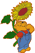 Avatar du membre